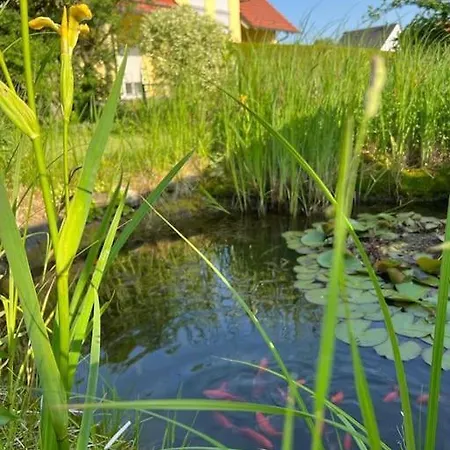 Landhaus Mit Pool * Burgthann
