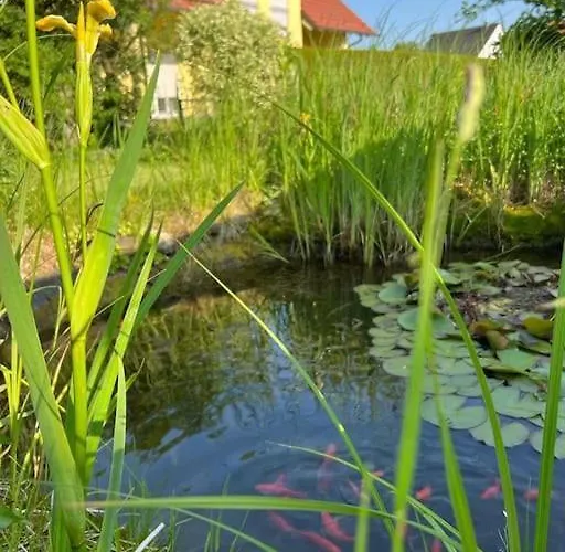 Landhaus Mit Pool * Burgthann